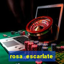 rosa escarlate ragnarok quest